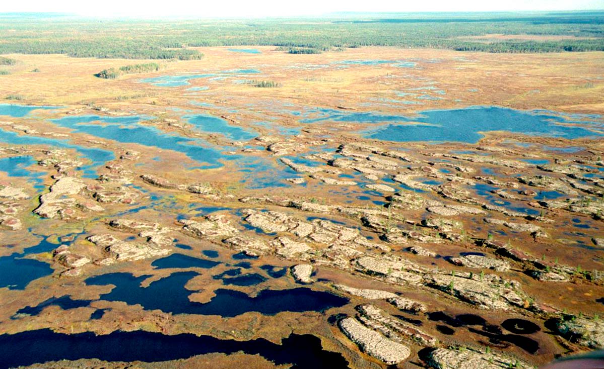 Многолетняя мерзлота занимает в россии более 60. Вечная мерзлота Таймыр. Тундра болота Вечная мерзлота. Полуостров Таймыр самый большой. Полуостров Таймыр почвы.